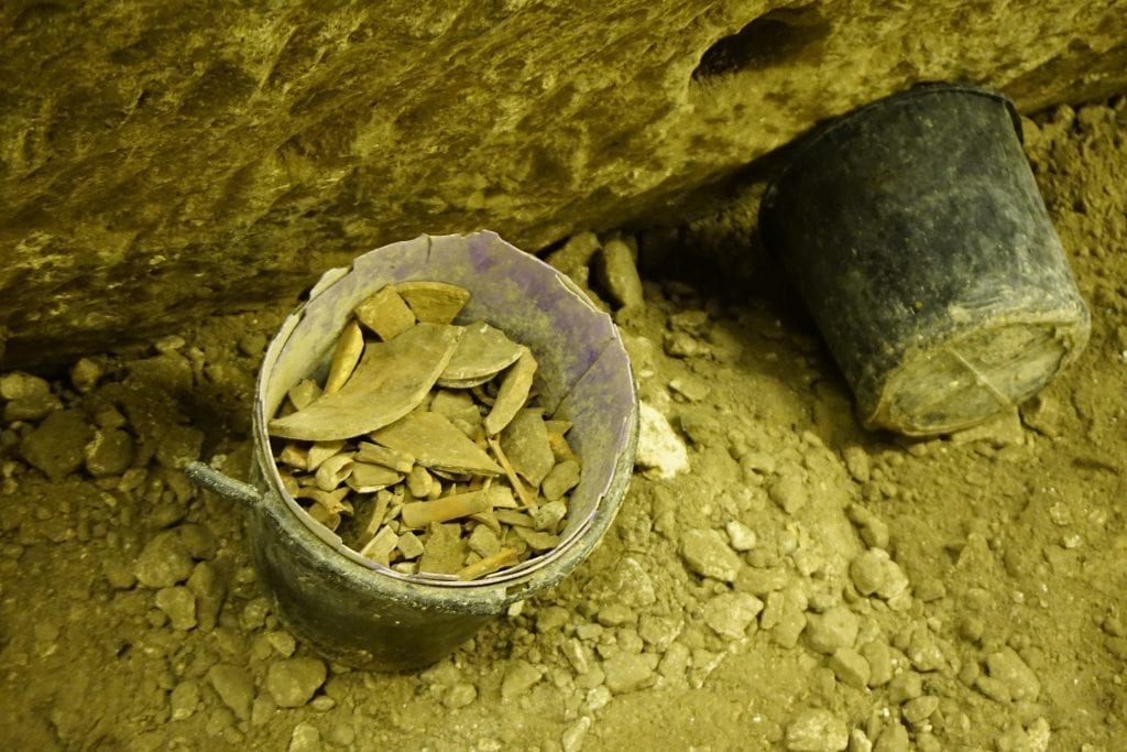 Dig For A Day – להפוך לארכיאולוג ליום אחד