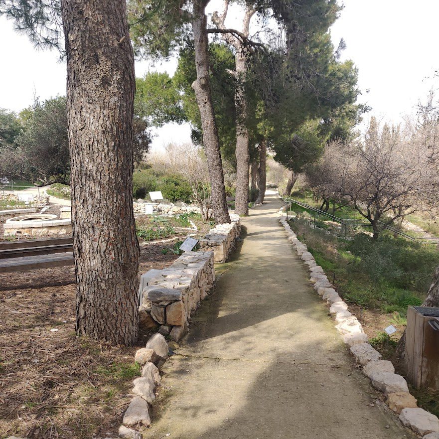 הגן הבוטני שבאוניברסיטה העברית הר הצופים ירושלים