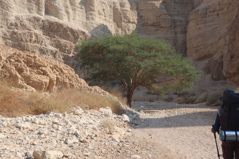 שביל ישראל מקטע מספר 34 – מעין בוקק למישור עמיעז