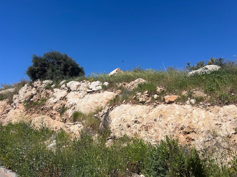 גבעת ארבל – גבעה אקולוגית קהילתית במודיעין