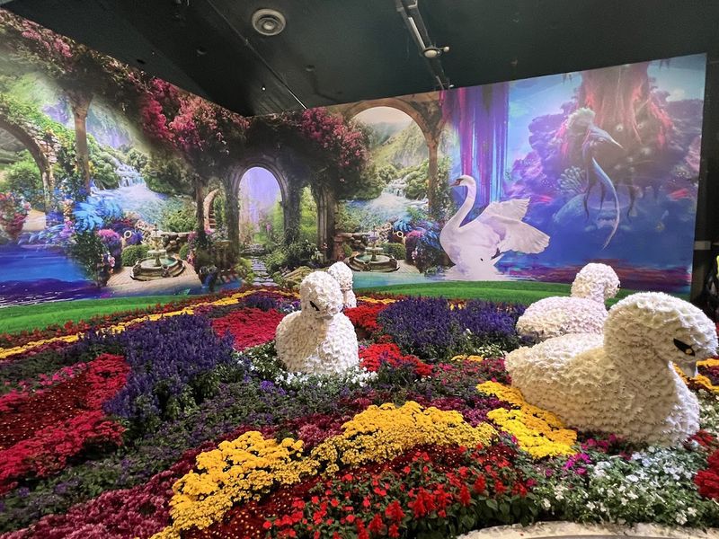 Flowers – תערוכת הפרחים הגדולה באקספו תל אביב