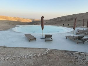 הברכה הרדוד בחוות צאן קידר