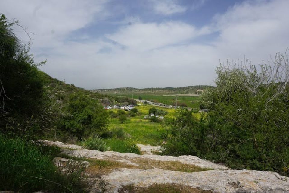 גבעת התורמוסים בתל שוכה