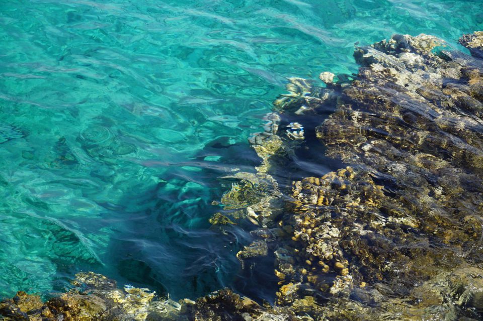 חוף האלמוגים -אילת