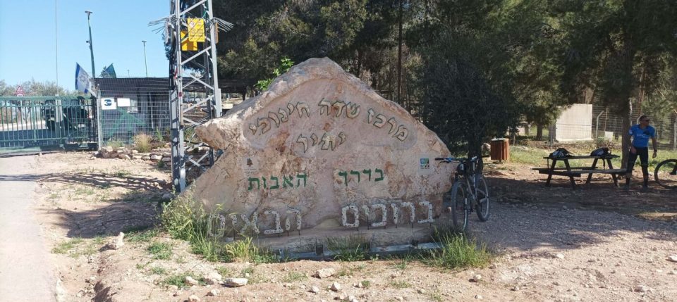 צילום: צחי ורון