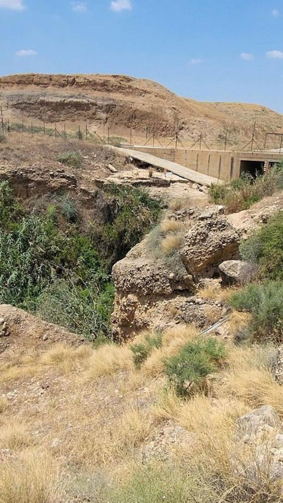 הנוף במסלול של עין גבול