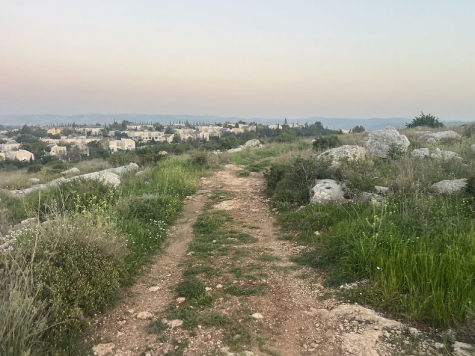 גבעת שרון -טיול פריחה