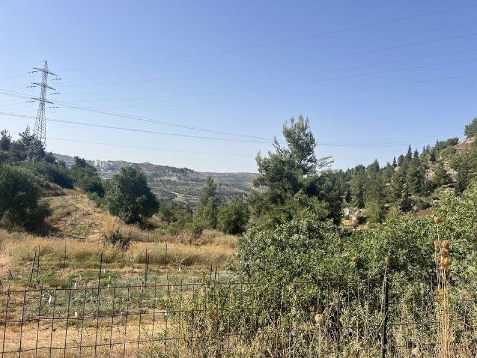 הנוף בדרך לעין מערה