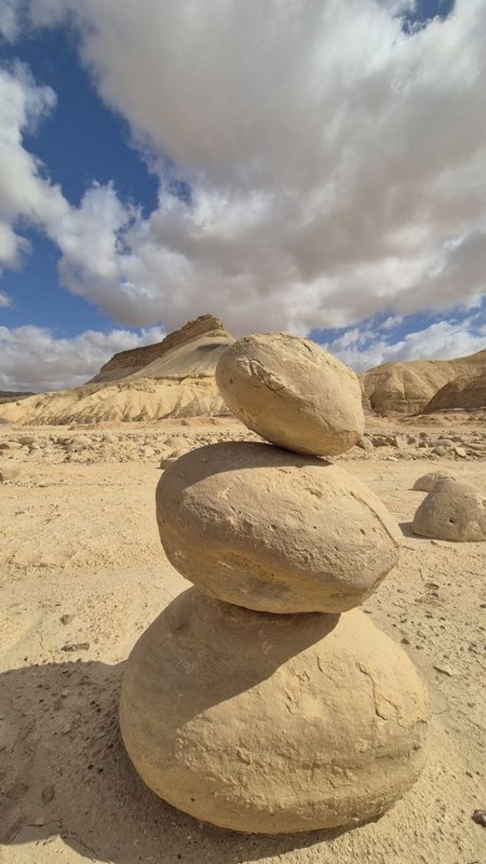הר צין ושדה הבולבוסים_450x800