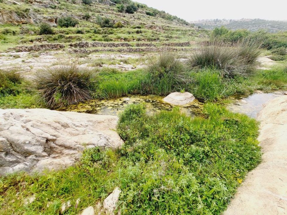 מים בנחל קנה