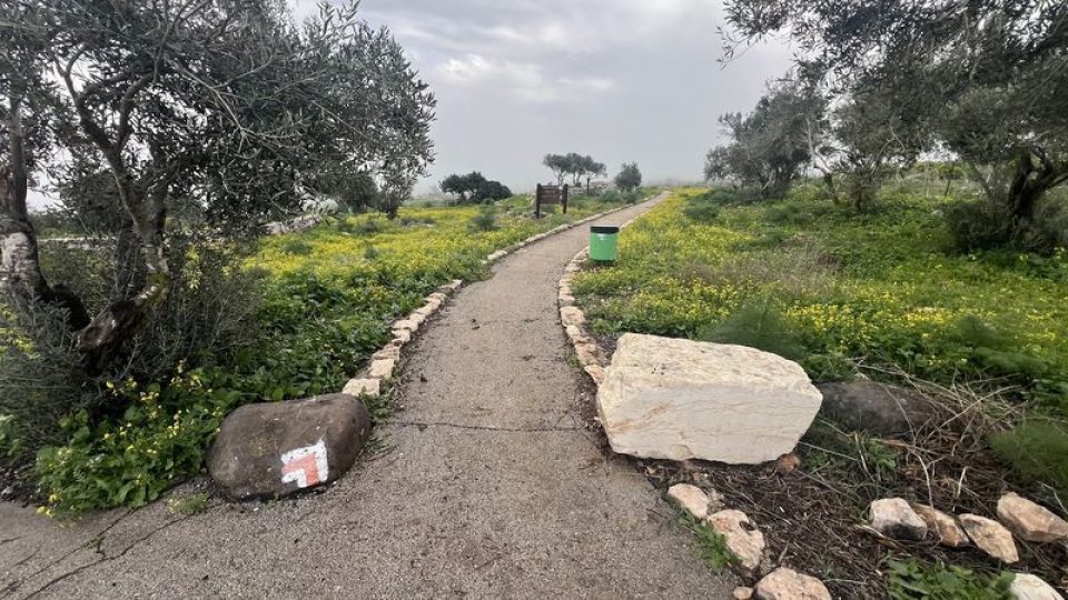 מסלול טיול במצפה אבינדב