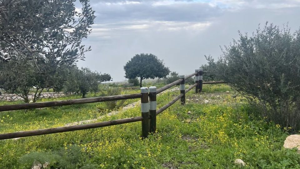 מצפה אבינדב בגלבוע