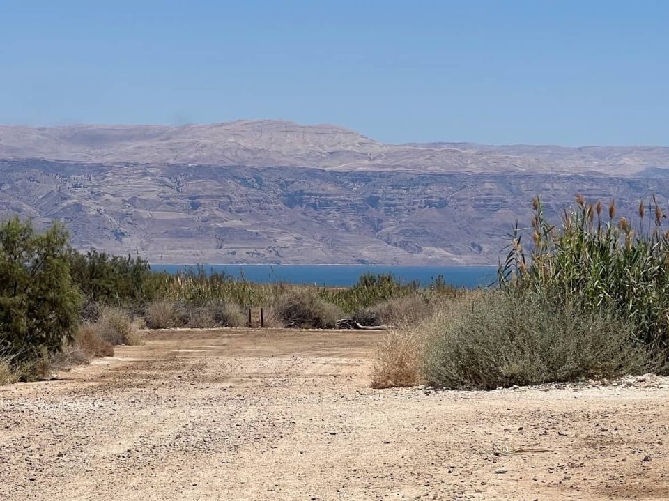 שמורת עינות צוקים