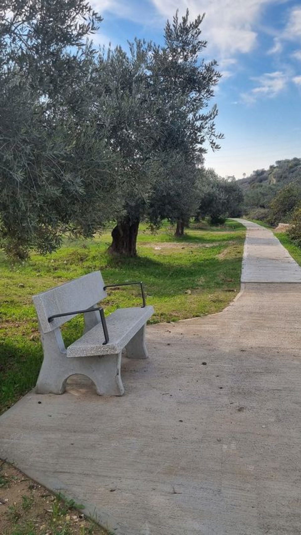 ספסל בעינות שועין