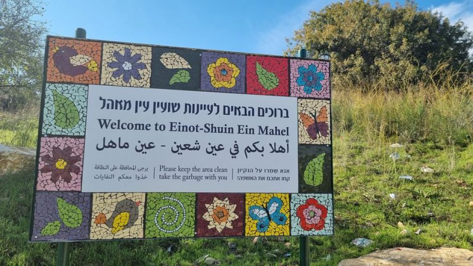 עין מאהל -עינות שועים