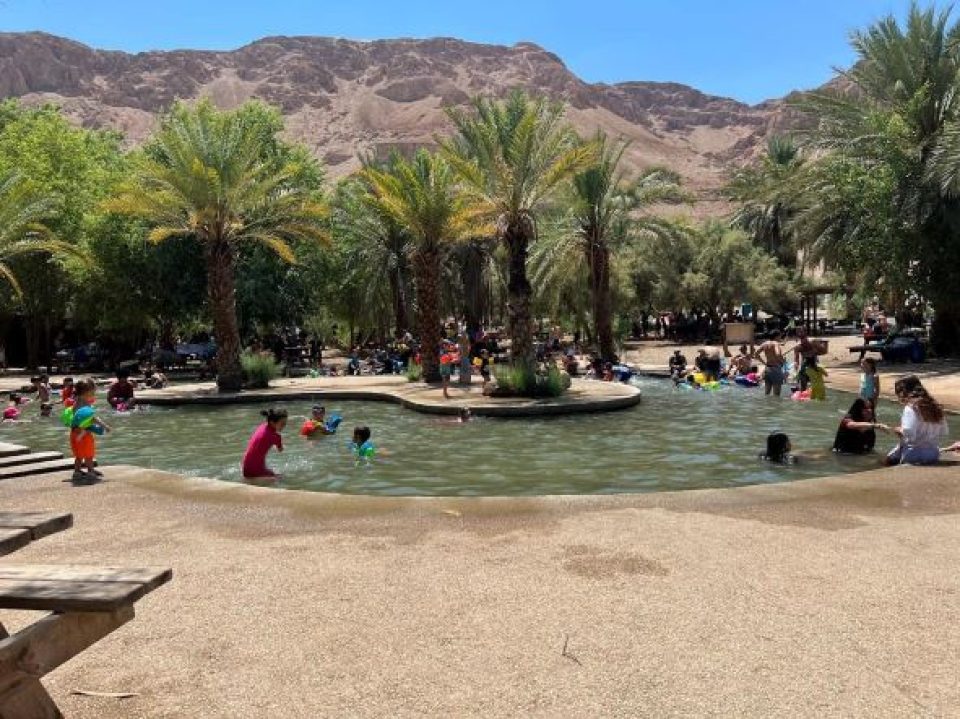 קנה בעינות צוקים