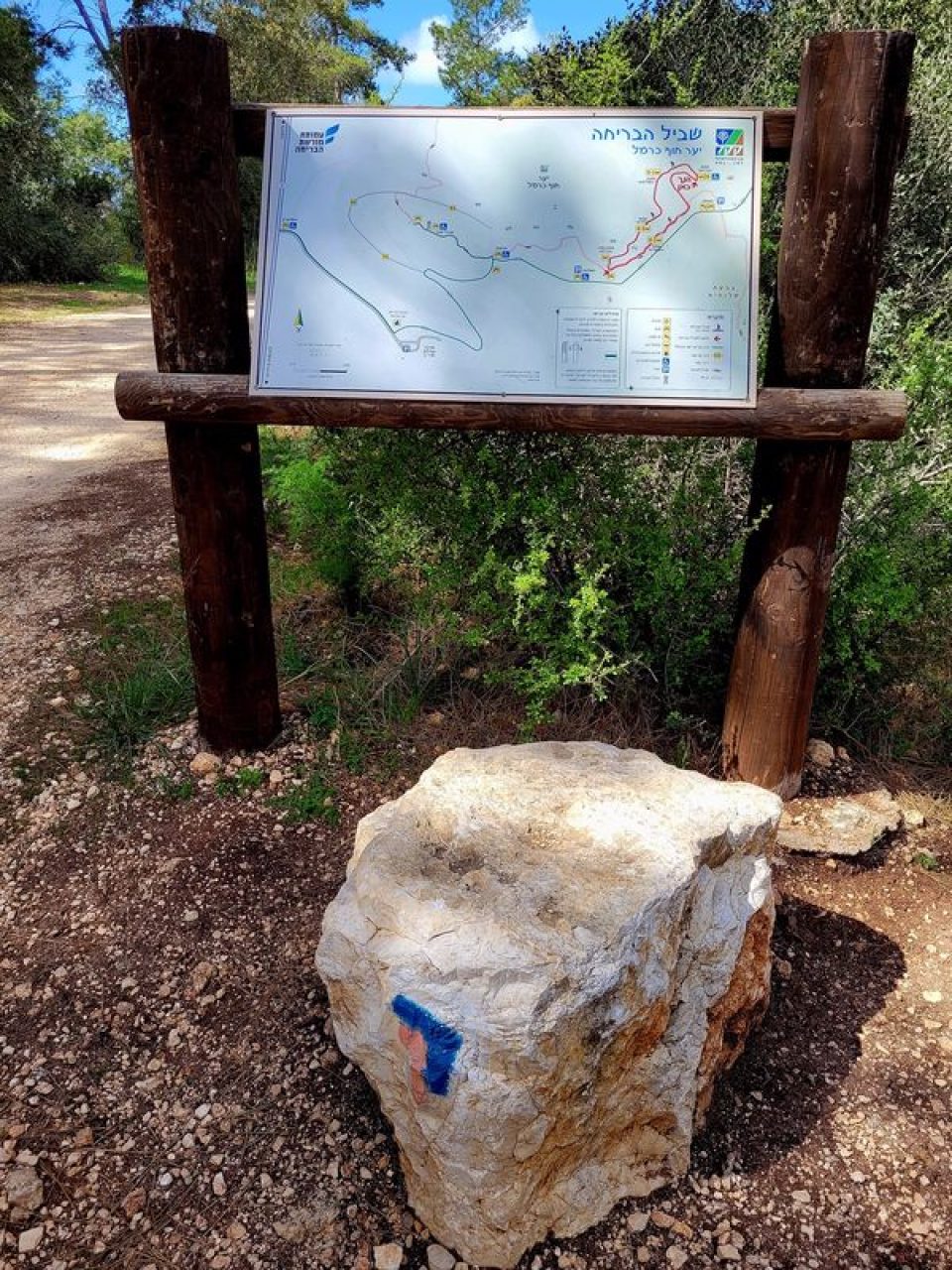 שביל הבריחה יער חוף הכרמל