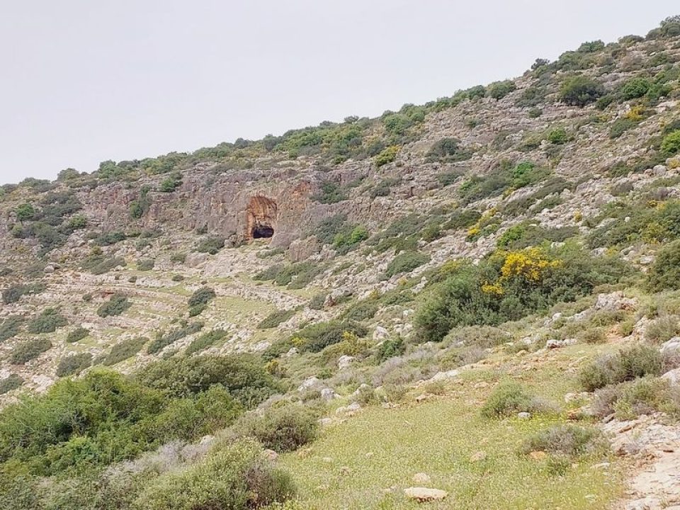 שמורת טבע נחל קנה