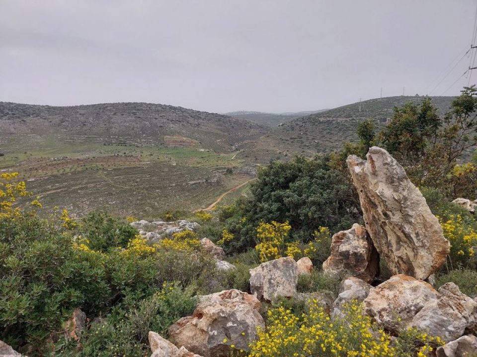 שמורת נחל קנה