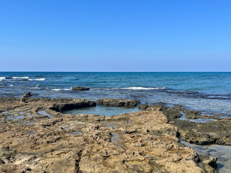 שקמונה הג'קוזי של הטבע שקמונה הג'קוזי של הטבע